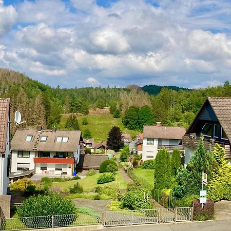 Haus Wilma Apartment Altenau  Luaran gambar