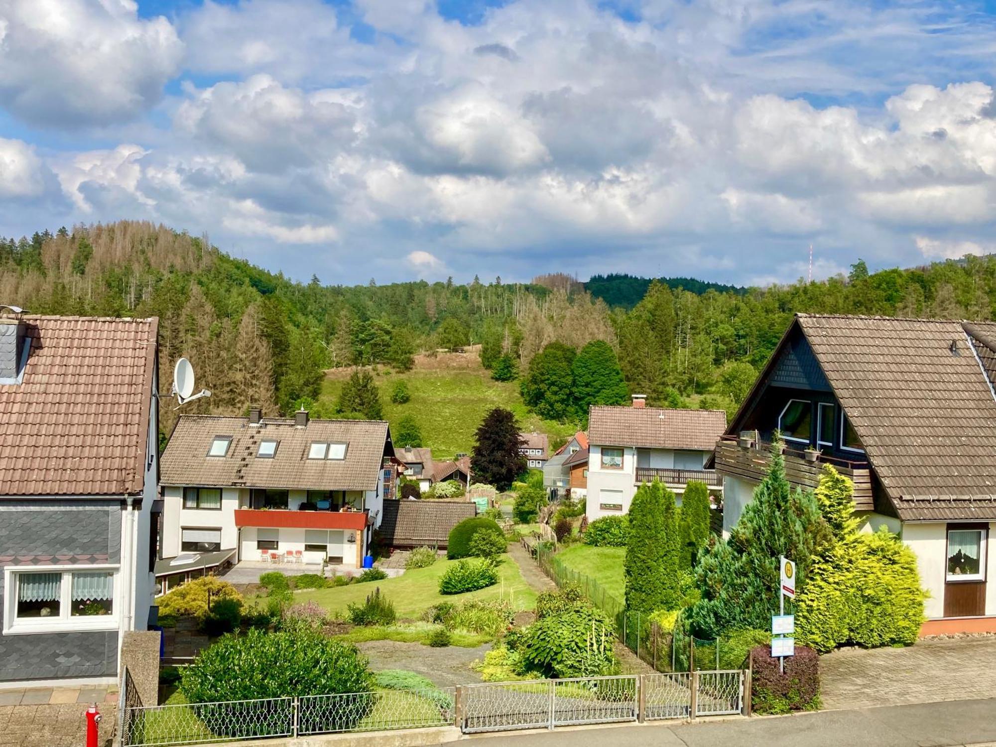 Haus Wilma Apartment Altenau  Luaran gambar